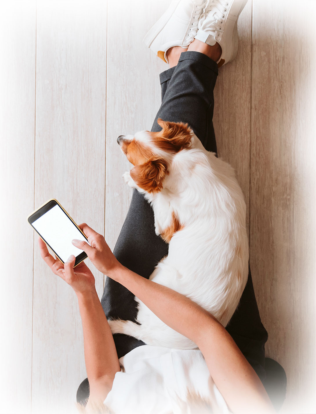 Pet owner reviewing financial planning options for veterinary urgent care costs
