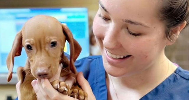 Montana Smith, veterinary team member at Peak Pet Urgent Care in Reno NV