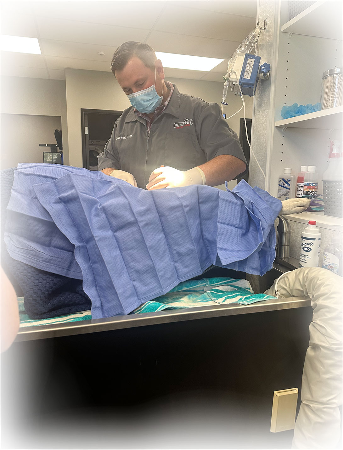 Veterinary surgical team performing a pet surgery procedure at Peak Pet Urgent Care Reno NV
