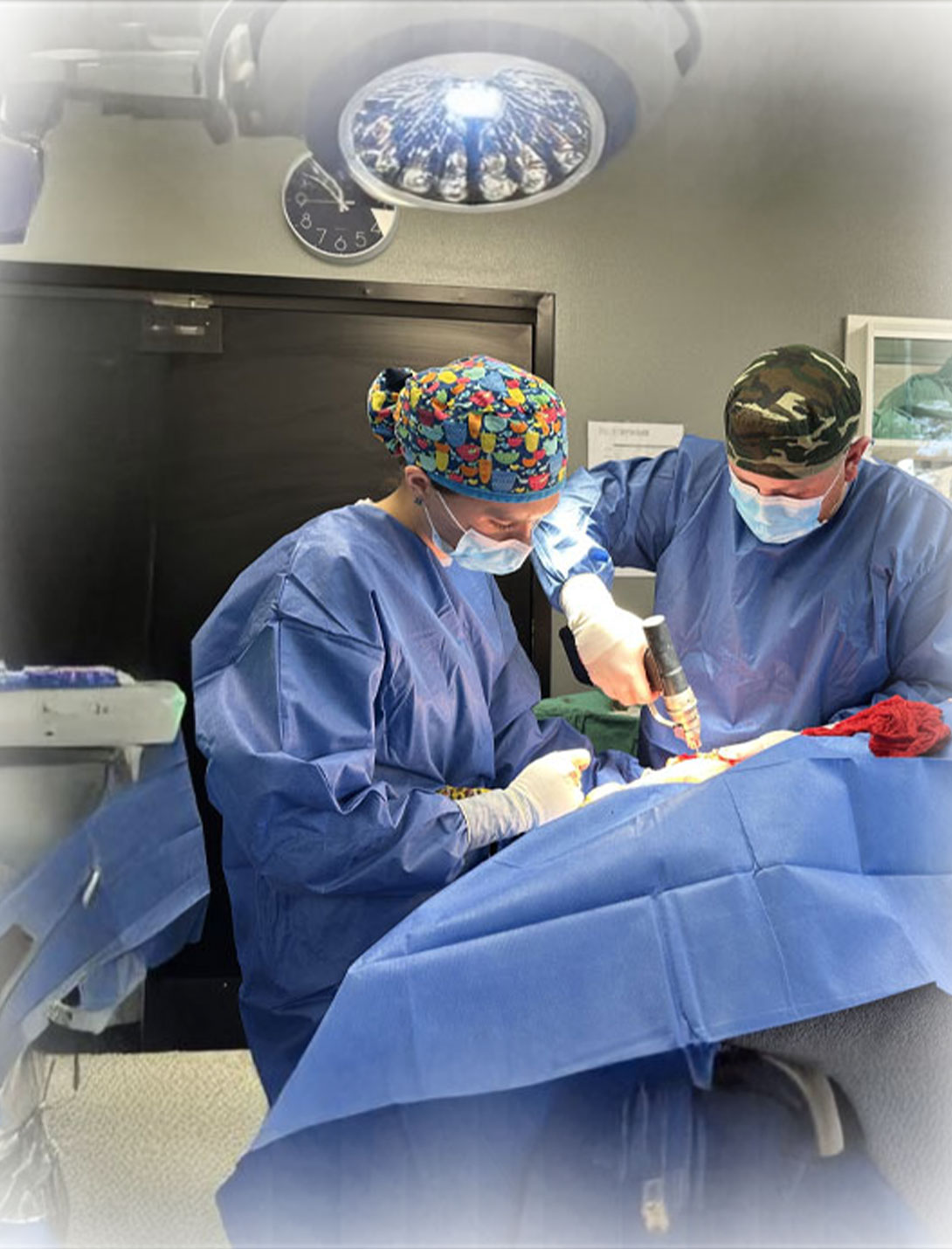 Veterinarian performing TPLO knee surgery on a dog for cruciate ligament repair
