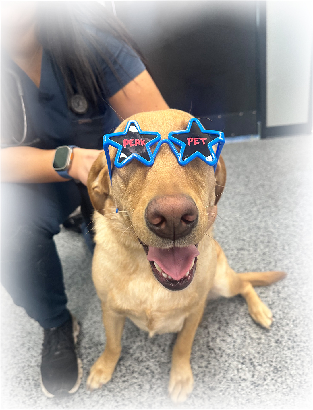 Peak Pet Urgent Care veterinary team members at the Reno NV clinic
