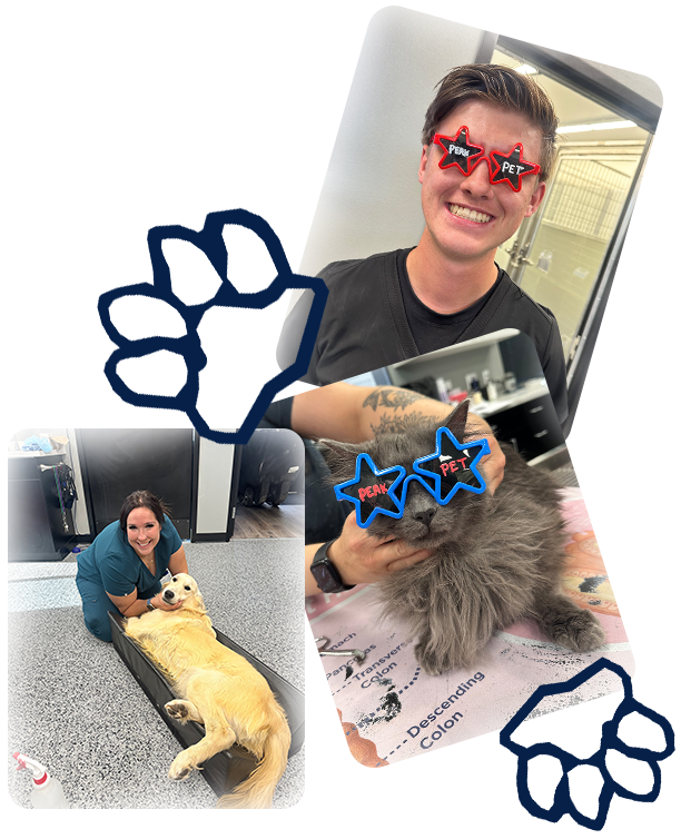 Veterinary career opportunities at Peak Pet Urgent Care in Reno NV
