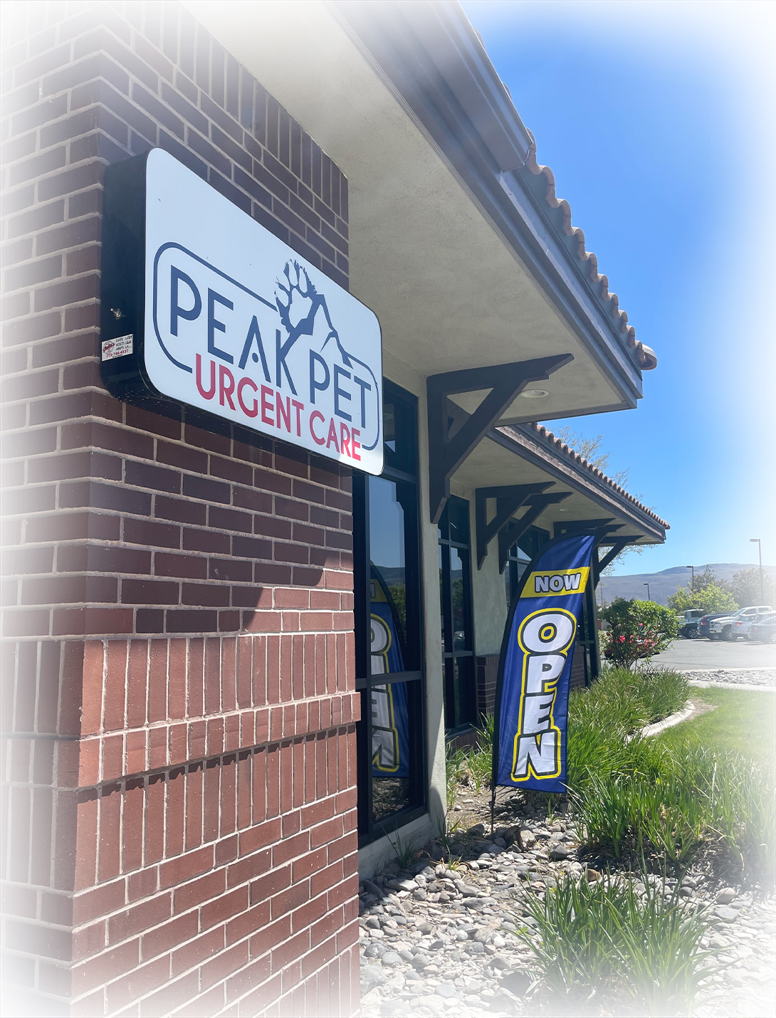 Modern veterinary urgent care facility interior at Peak Pet Urgent Care in Reno NV
