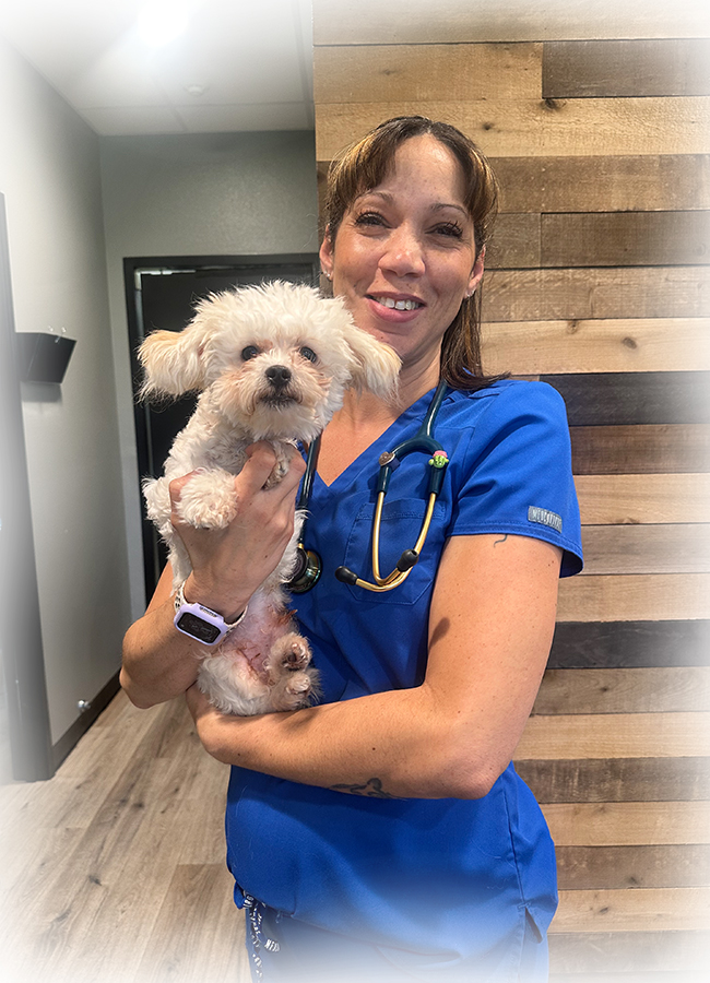 Pet owner with dog at Peak Pet Urgent Care veterinary clinic in Reno NV
