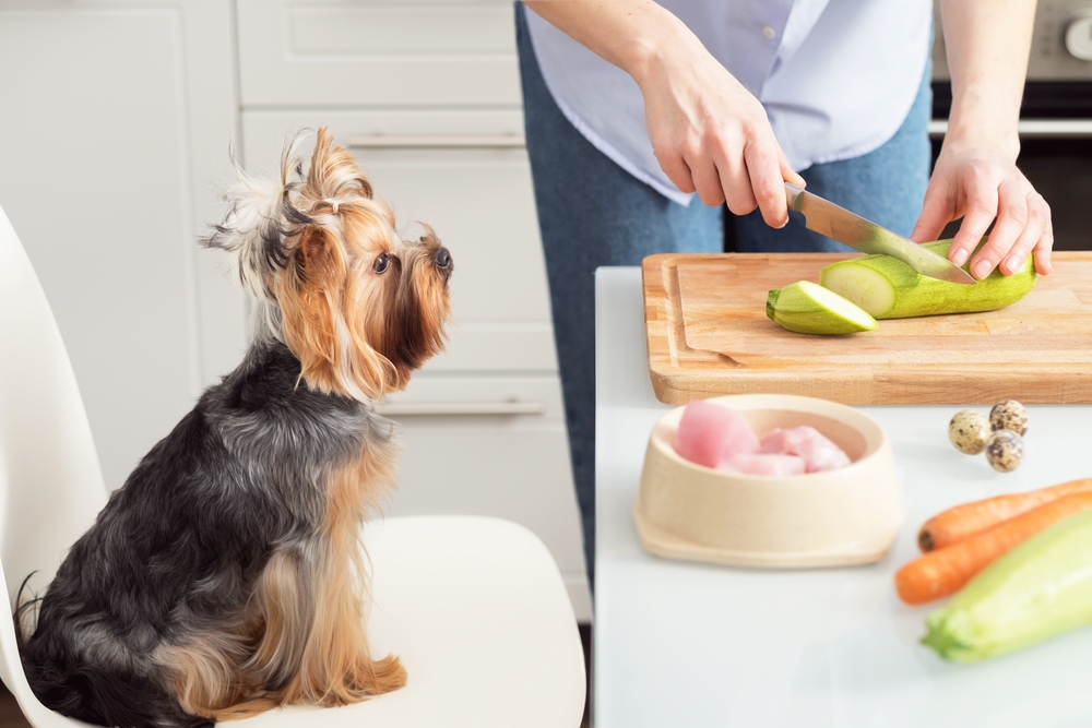 Woman preparing homemade natural organic pet food at home