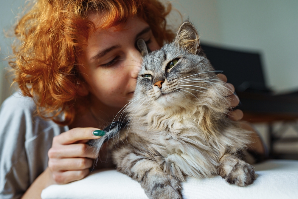 Teenage girl cuddling a long-haired fluffy domestic cat, highlighting pet and owner bond