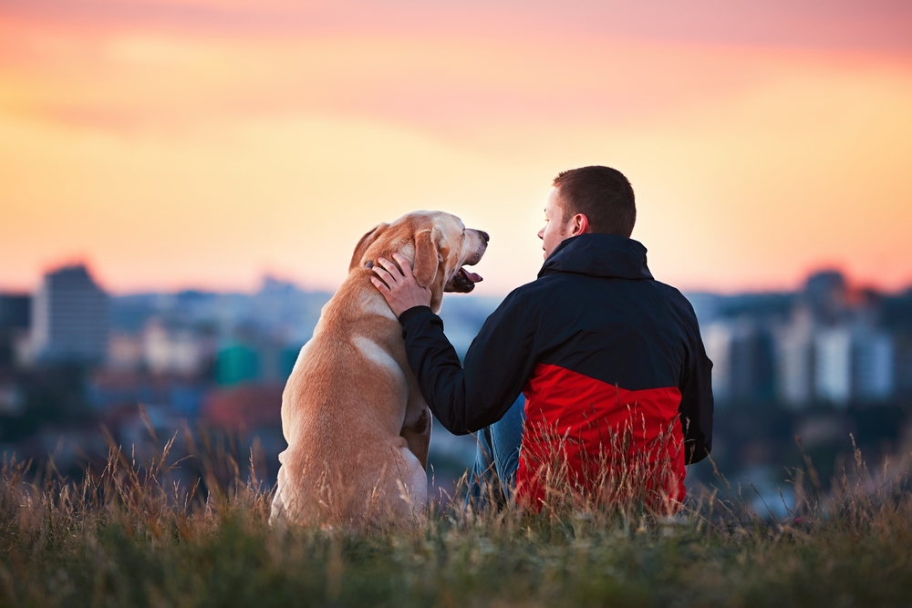 Young man petting and enjoying time outdoors with his yellow Labrador Retriever in the sun